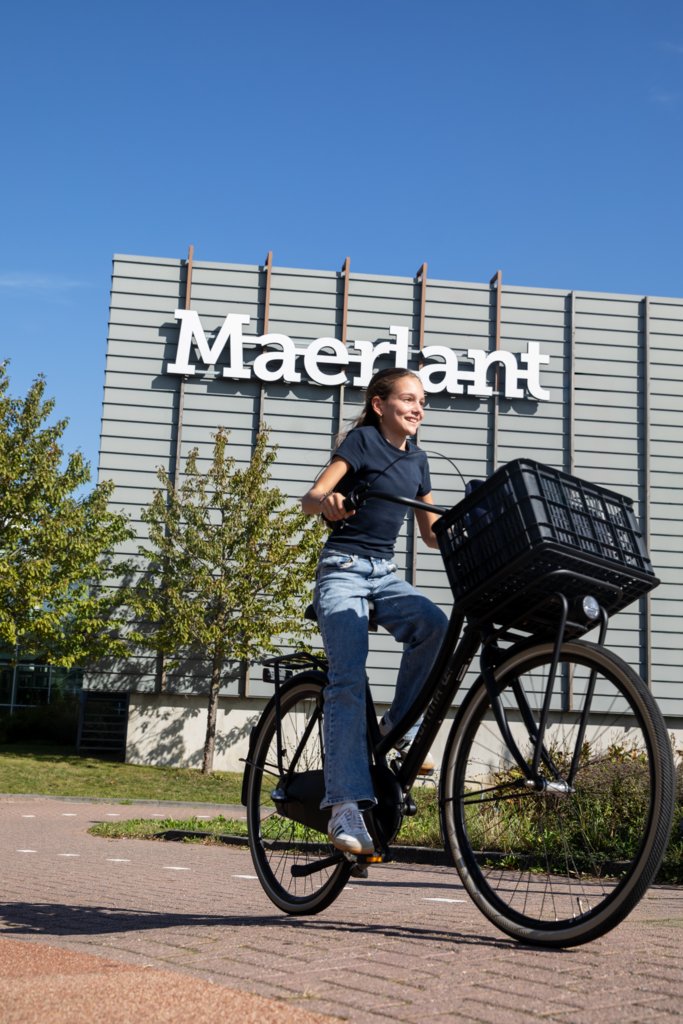 website - alles onder een dak